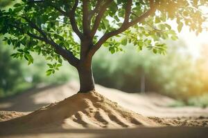 a tree growing out of the sand in the middle of a field. AI-Generated photo
