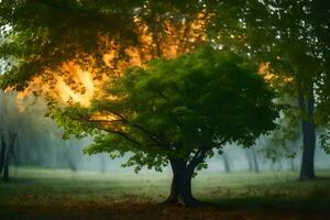 un árbol en el medio de un brumoso bosque. generado por ai foto