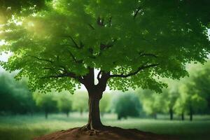 un árbol es en pie en el medio de un campo. generado por ai foto