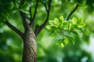 a tree with green leaves in front of a green background. AI-Generated photo