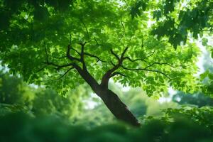 un árbol en el medio de un verde bosque. generado por ai foto