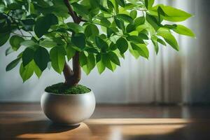 a potted plant on a wooden table. AI-Generated photo