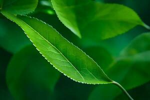 a close up of a leaf with green leaves. AI-Generated photo