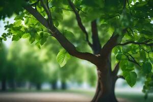 un árbol es en el medio de un parque. generado por ai foto