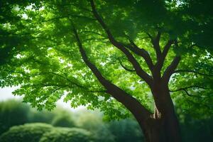 a tree is shown in the sunlight with green leaves. AI-Generated photo