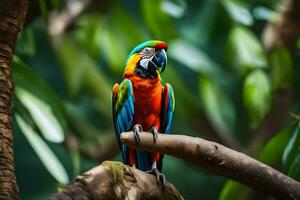 un vistoso loro se sienta en un rama en el bosque. generado por ai foto