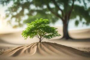 un pequeño árbol creciente fuera de el arena en el desierto. generado por ai foto