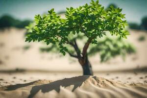 a small tree in the desert with sand in the background. AI-Generated photo