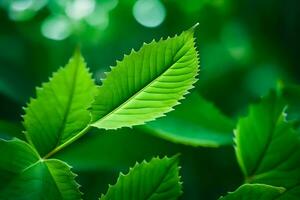 a close up of green leaves on a tree. AI-Generated photo