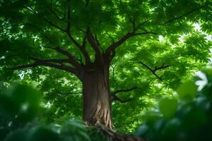 a tree is seen in the sunlight through the leaves. AI-Generated photo