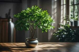 a potted plant on a table in front of a window. AI-Generated photo