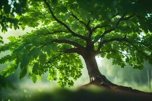 un árbol es mostrado en el medio de un bosque. generado por ai foto