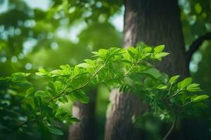 green leaves on a tree branch in the forest. AI-Generated photo