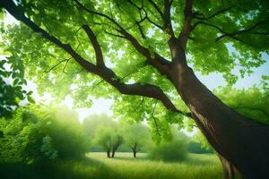 photo wallpaper the sky, trees, grass, sun, green, trees, the forest, the. AI-Generated