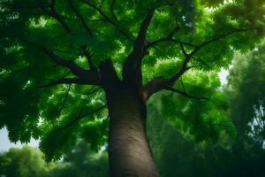 a tree in the forest with green leaves. AI-Generated photo