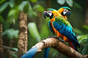 two colorful parrots sitting on a branch in the forest. AI-Generated photo