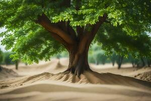 a tree in the desert with sand dunes. AI-Generated photo
