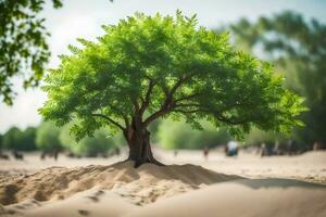 un árbol creciente en el arena en un playa. generado por ai foto