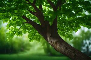 a tree with green leaves in front of a green field. AI-Generated photo