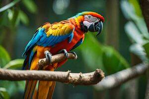 un vistoso loro se sienta en un rama en el bosque. generado por ai foto