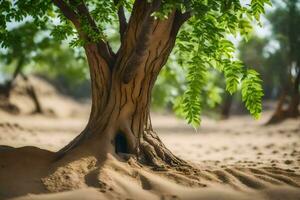 a tree in the desert with sand and dirt. AI-Generated photo