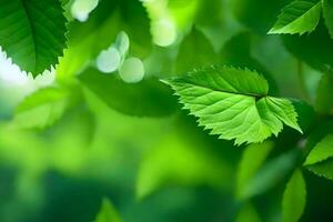 verde hojas en un árbol. generado por ai foto