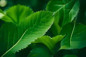 verde hojas en un árbol. generado por ai foto