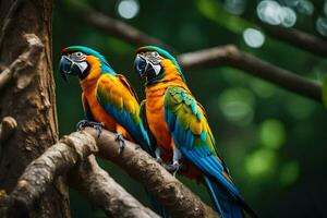 two colorful parrots sitting on a branch. AI-Generated photo