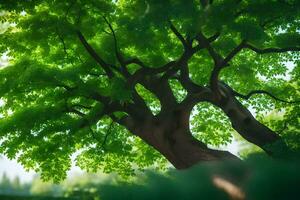 un árbol en el bosque con verde hojas. generado por ai foto