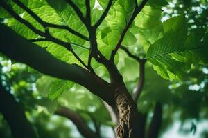 un árbol con verde hojas y luz de sol. generado por ai foto