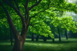 a green tree in the middle of a forest. AI-Generated photo