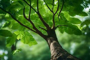 un árbol con verde hojas en el bosque. generado por ai foto