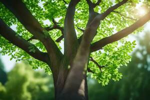 un árbol con verde hojas y luz de sol brillante mediante él. generado por ai foto