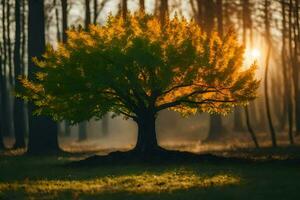 un árbol en el medio de un bosque a amanecer. generado por ai foto