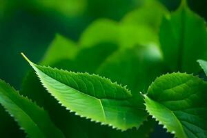 a close up of green leaves on a tree. AI-Generated photo