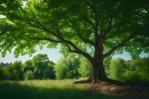 un grande árbol en el medio de un campo. generado por ai foto