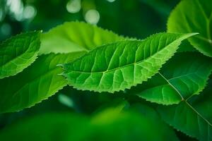 a close up of green leaves on a tree. AI-Generated photo