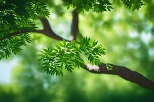 green leaves on a tree branch in front of a green background. AI-Generated photo