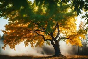 a tree in the middle of a field with fog. AI-Generated photo
