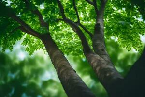 un árbol con verde hojas y un borroso antecedentes. generado por ai foto