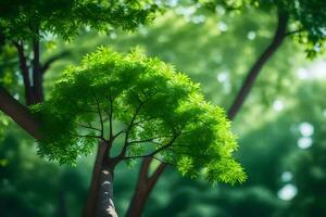 un árbol con verde hojas en el medio de un bosque. generado por ai foto