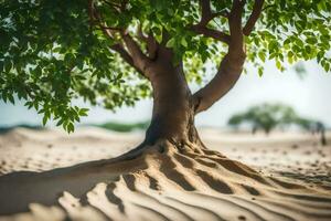 a tree with roots in the sand. AI-Generated photo