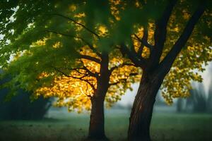 two trees in the fog with the sun shining through. AI-Generated photo