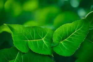 a close up of green leaves on a plant. AI-Generated photo