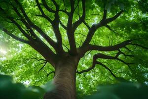 a tree is seen from below with green leaves. AI-Generated photo
