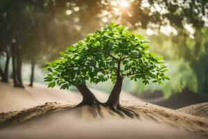 a tree growing out of the sand in the middle of a field. AI-Generated photo