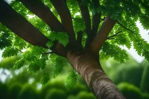 a tree with green leaves and a green background. AI-Generated photo