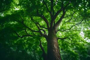 a tree in the forest with green leaves. AI-Generated photo