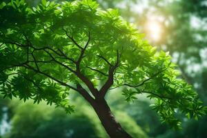 a tree with green leaves in the sun. AI-Generated photo