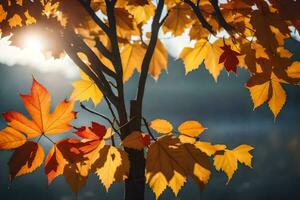 autumn leaves in the sun. AI-Generated photo